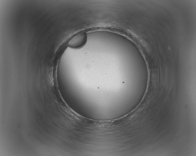 X0000082941262200702152205