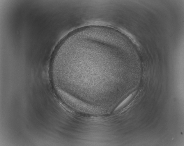 X0000082941264200702152205