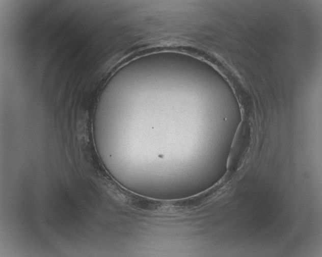 X0000082941265200702152205