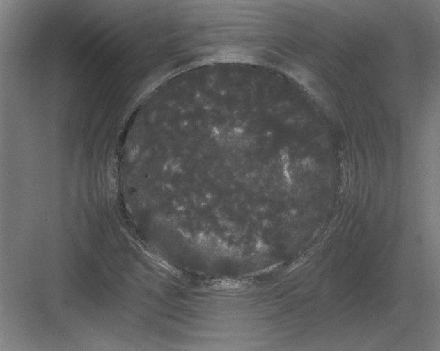 X0000082941266200702152205