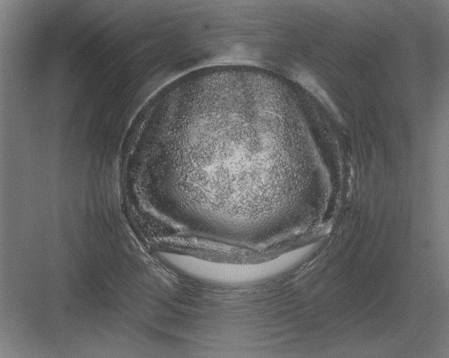 X0000082941268200702152204