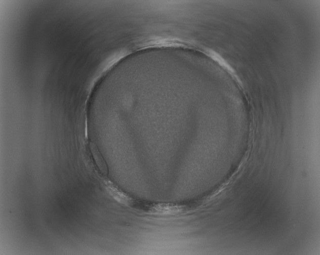 X0000082941269200702152204