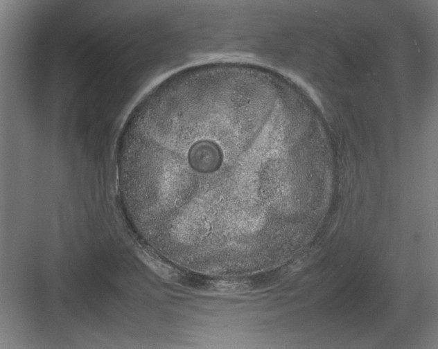 X0000082941271200702152204