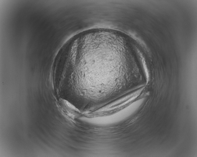 X0000082941272200702152204