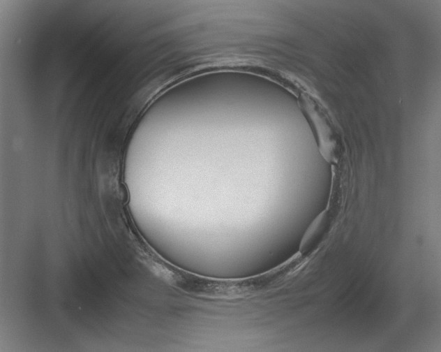 X0000082941273200702152204