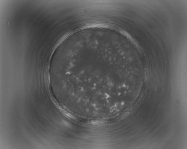 X0000082941274200702152204