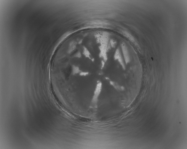 X0000082941275200702152204