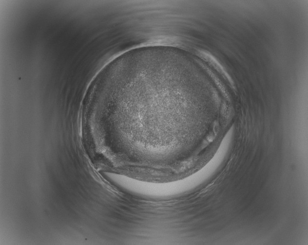 X0000082941276200702152204