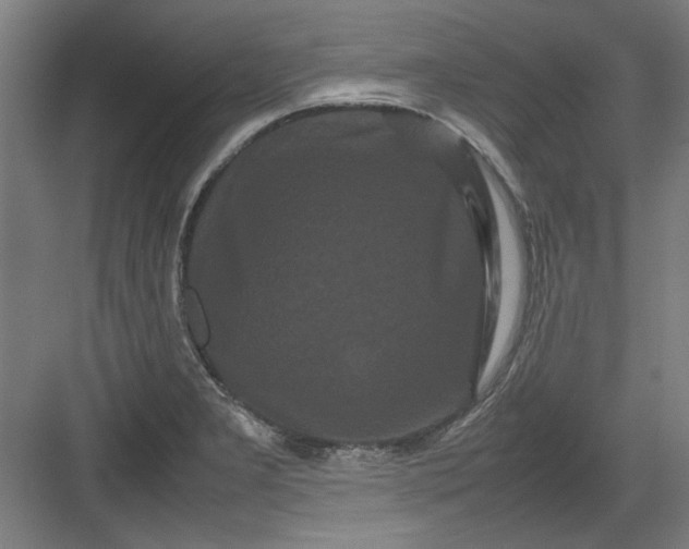 X0000082941277200702152204