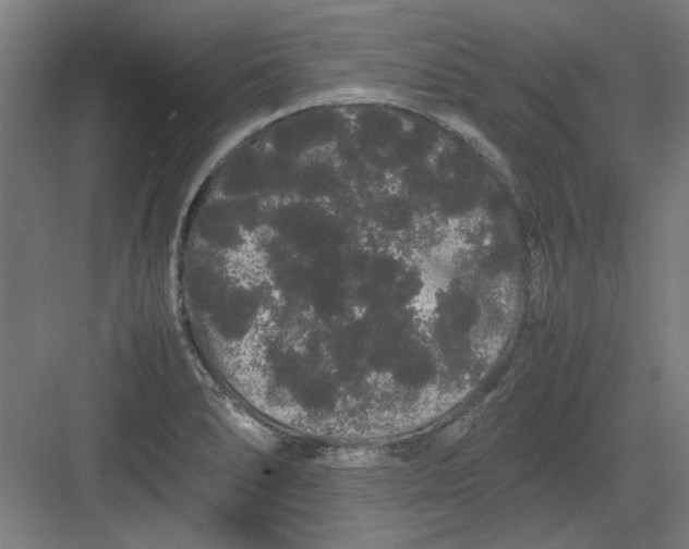 X0000082941278200702152204