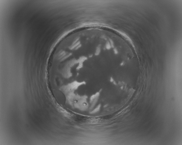 X0000082941279200702152204