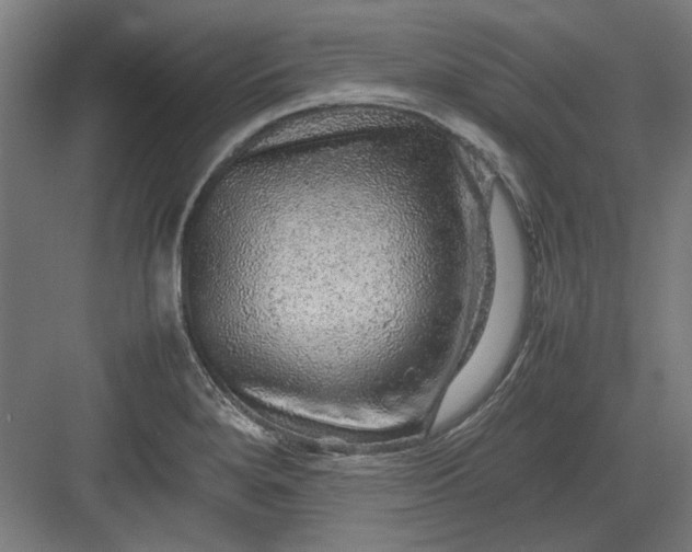 X0000082941280200702152204