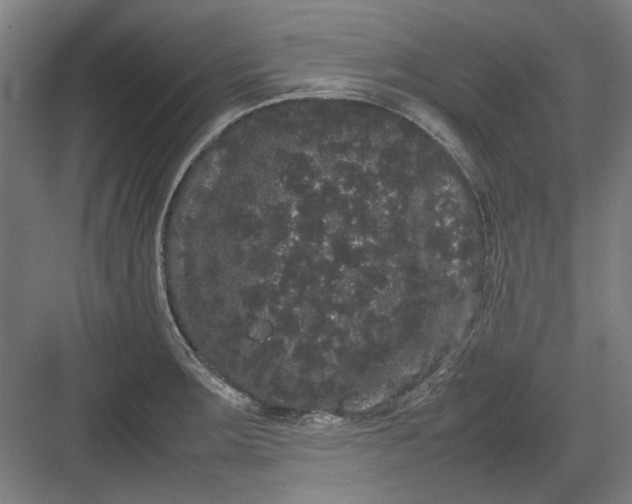 X0000082941283200702152204