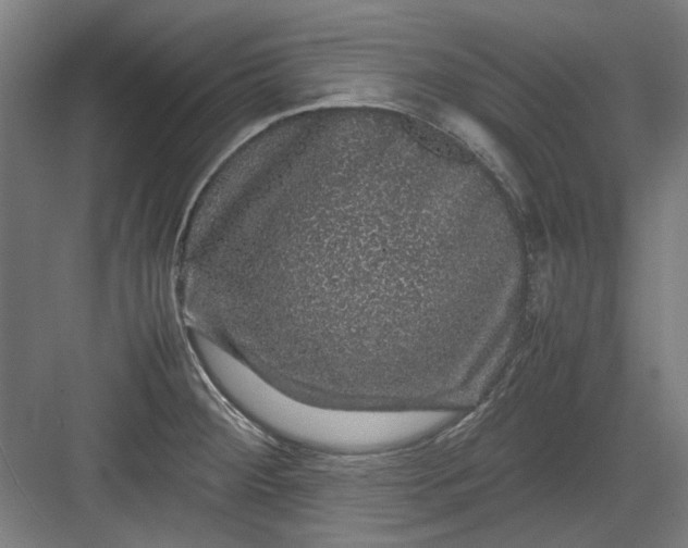 X0000082941284200702152204