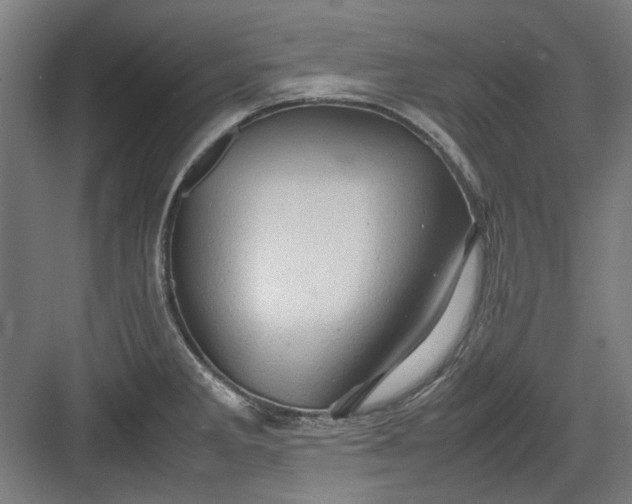 X0000082941285200702152204