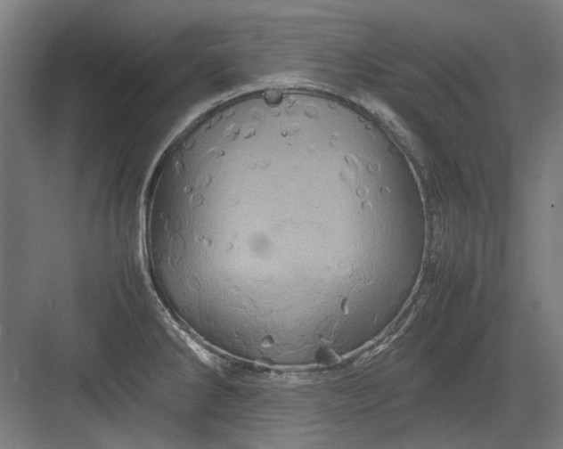 X0000082941286200702152204