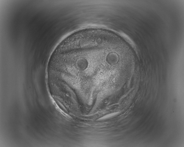 X0000082941287200702152204