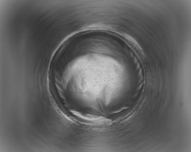 X0000082941288200702152204