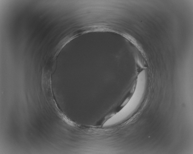 X0000082941289200702152204