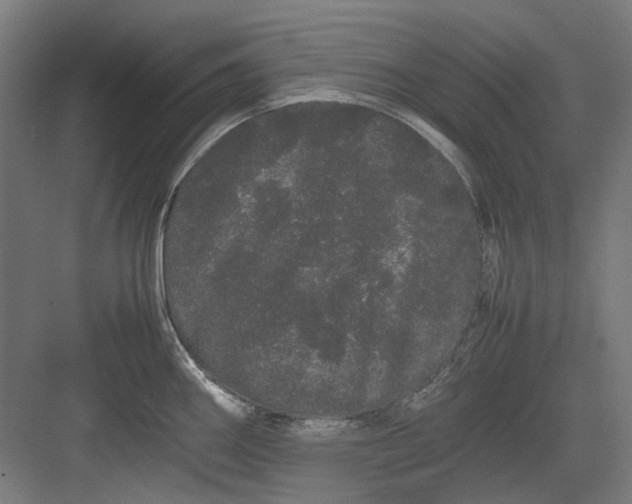 X0000082941290200702152204