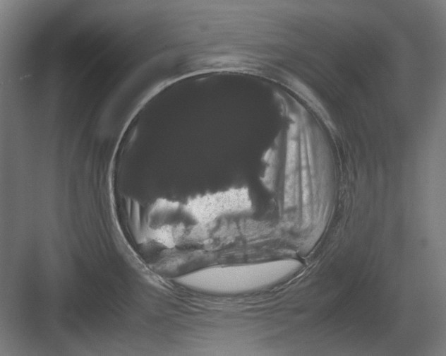 X0000082941291200702152204