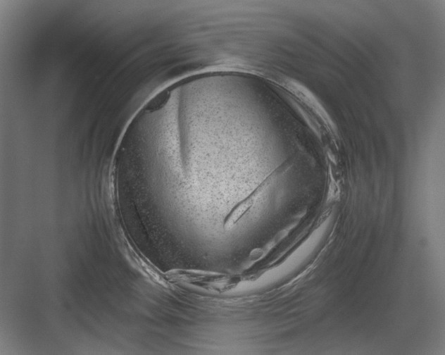 X0000082941292200702152204