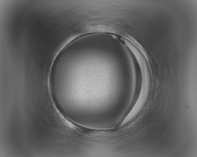 X0000082941293200702152204