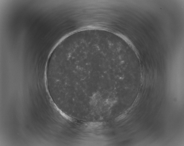 X0000082941294200702152204