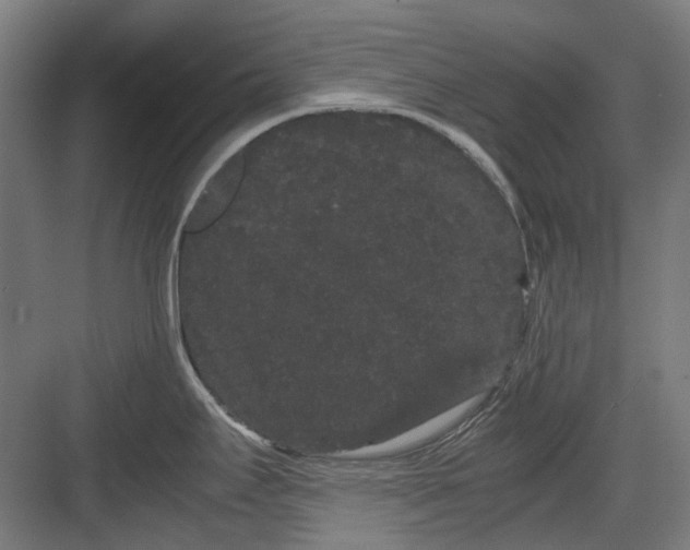 X0000082941295200702152204