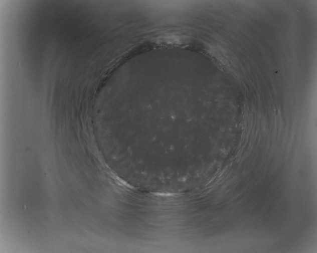 X0000082941297200702152203