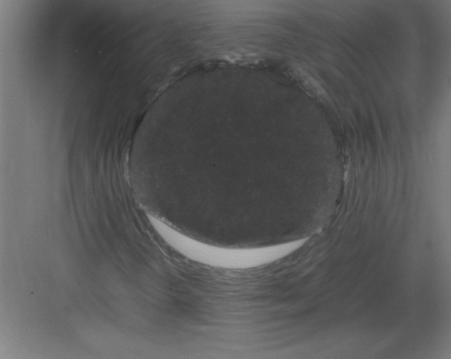 X0000082941298200702152203