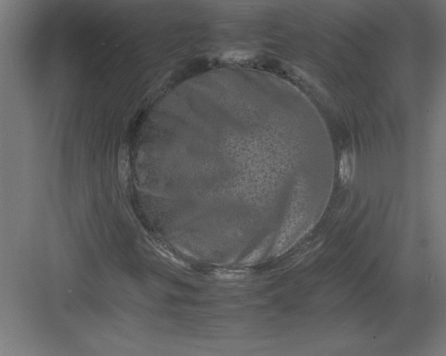 X0000082941299200702152203