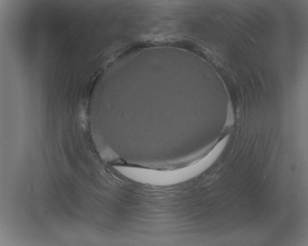 X0000082941300200702152203