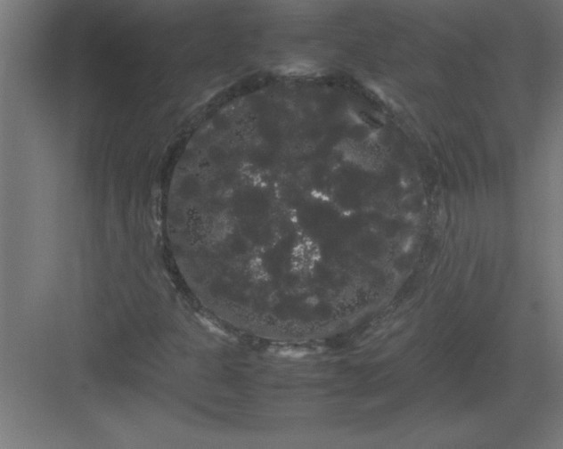 X0000082941301200702152203