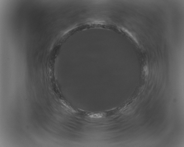 X0000082941303200702152203