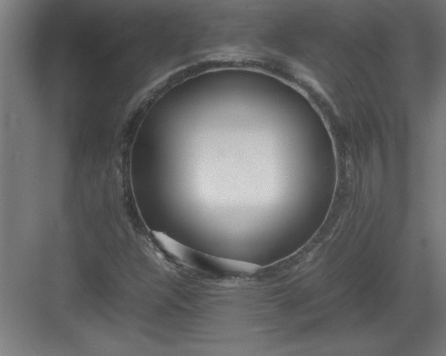 X0000082941304200702152203