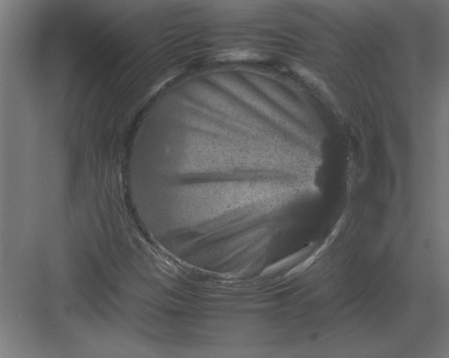 X0000082941305200702152203