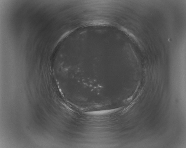 X0000082941306200702152203