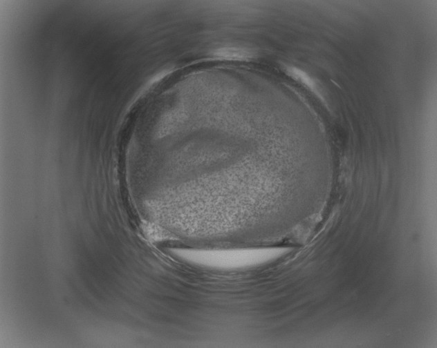 X0000082941307200702152203