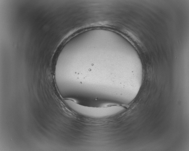 X0000082941308200702152203