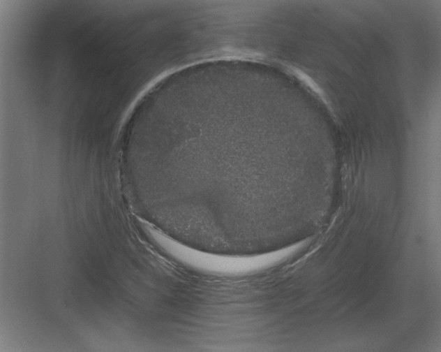 X0000082941310200702152203