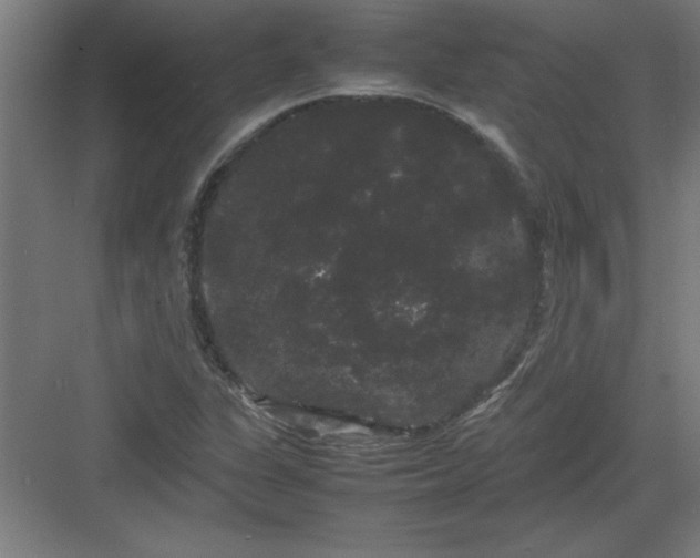 X0000082941311200702152203