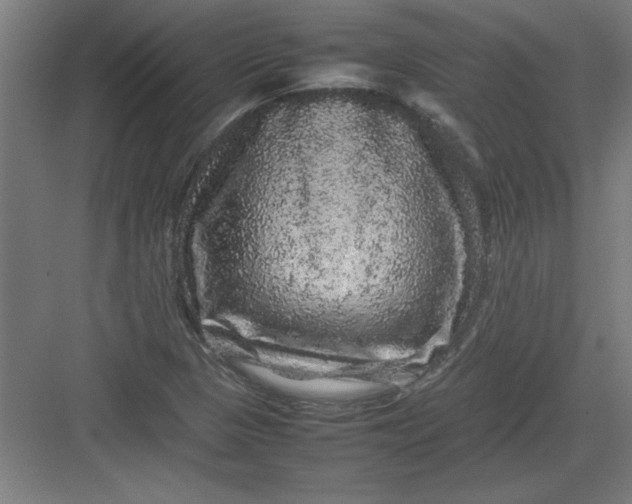 X0000082941313200702152203