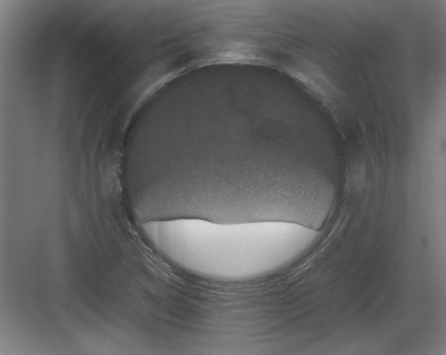 X0000082941314200702152203