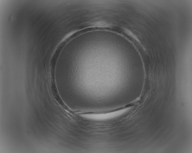 X0000082941315200702152204