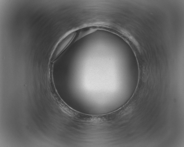 X0000082941316200702152204