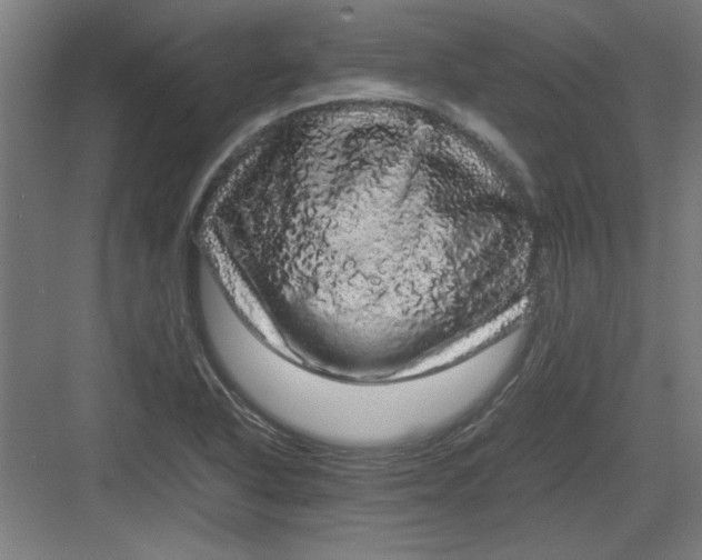 X0000082941318200702152204