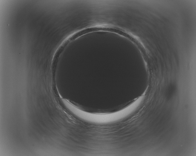 X0000082941319200702152204