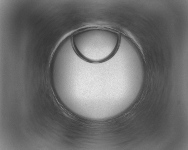 X0000082941320200702152204