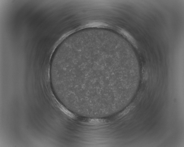 X0000082941322200702152204